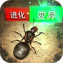 星空娱乐登录