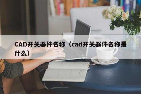 CAD开关器件名称（cad开关器件名称是什么）