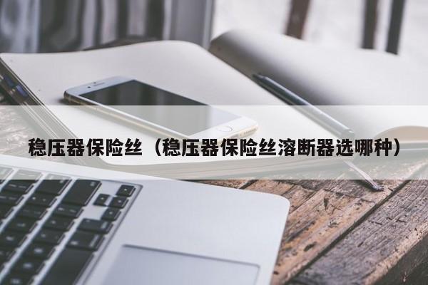 稳压器保险丝（稳压器保险丝溶断器选哪种）