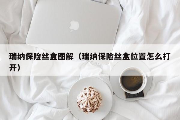 瑞纳保险丝盒图解（瑞纳保险丝盒位置怎么打开）