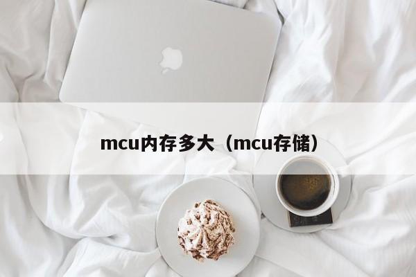 mcu内存多大（mcu存储）