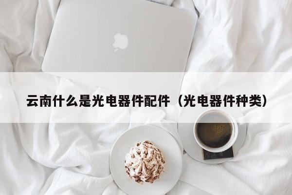 云南什么是光电器件配件（光电器件种类）