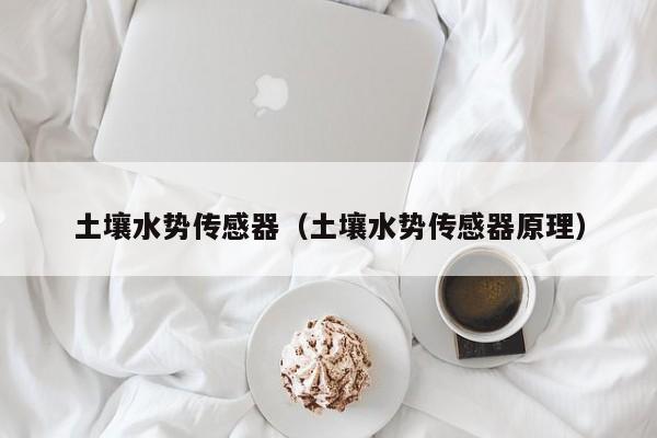 土壤水势传感器（土壤水势传感器原理）