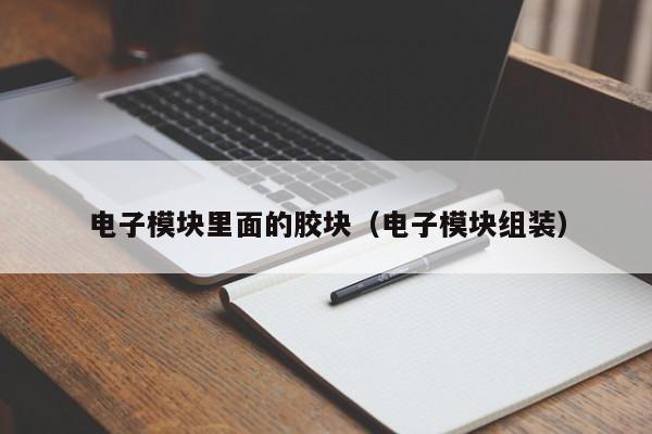 电子模块里面的胶块（电子模块组装）