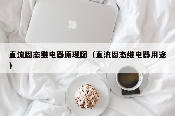 直流固态继电器原理图（直流固态继电器用途）