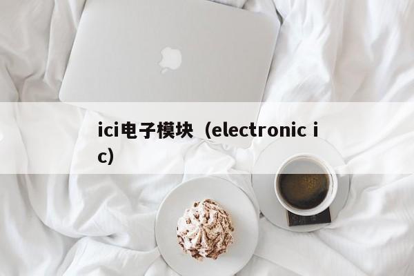 ici电子模块（electronic ic）