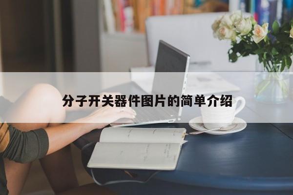 分子开关器件图片的简单介绍