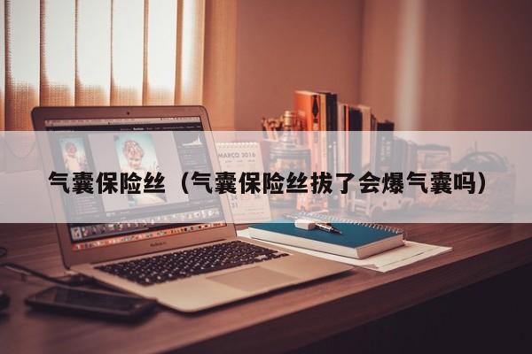 气囊保险丝（气囊保险丝拔了会爆气囊吗）