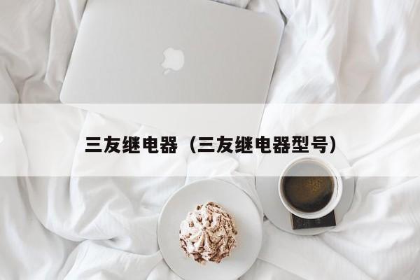 三友继电器（三友继电器型号）