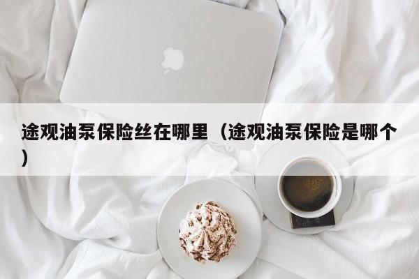 途观油泵保险丝在哪里（途观油泵保险是哪个）