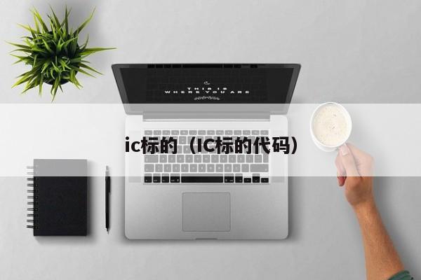ic标的（IC标的代码）