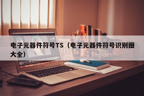 电子元器件符号TS（电子元器件符号识别图大全）