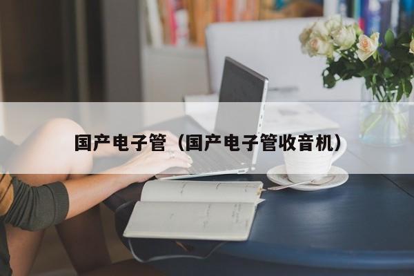 国产电子管（国产电子管收音机）