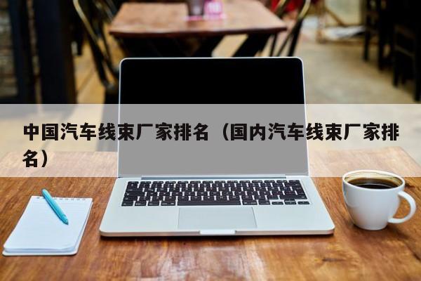 中国汽车线束厂家排名（国内汽车线束厂家排名）
