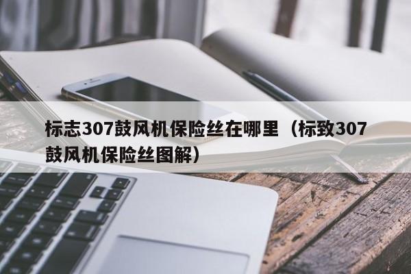 标志307鼓风机保险丝在哪里（标致307鼓风机保险丝图解）