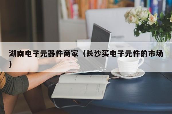 湖南电子元器件商家（长沙买电子元件的市场）