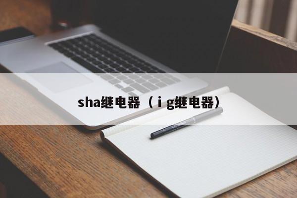 sha继电器（ⅰg继电器）